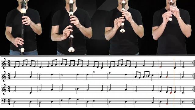 Tourdion (Pierre Attaignant) - Cuarteto de flautas con partitura смотреть онлайн