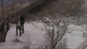 Зимняя зарисовка  Севастополь Людмила Миронова Севастополь