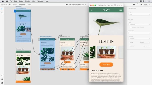 Desktop Preview | Adobe XD