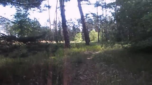 САМВЕЛ АДАМЯН КАК ЖЕНЩИНЫ ДАРИЛИ ПОДАРКИ ПРОДАВАЯ ПОСЛЕДНЕЕ. ПОДСТАВИЛ ИГОРЯ смотреть онлайн