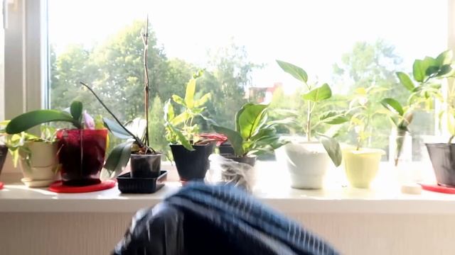 Пятна растворяются прямо на глазах. НОВЫЙ СПОСОБ стирки КУХОННЫХ ПОЛОТЕНЕЦ смотреть онлайн