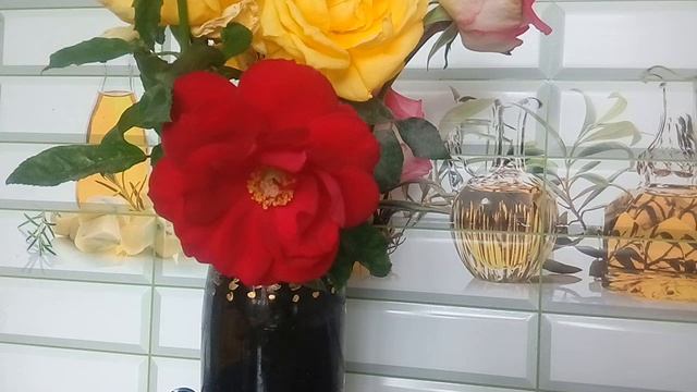 ПИТАНИЕ БЕСПЛАТНО ПОЛУЧАЕМ У СОЛОМОНА, 2 РЕЦЕПТ 4. 11.2023 г. смотреть онлайн