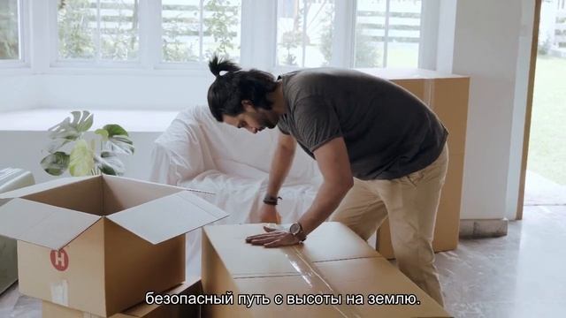 Как снять кота с дерева? смотреть онлайн