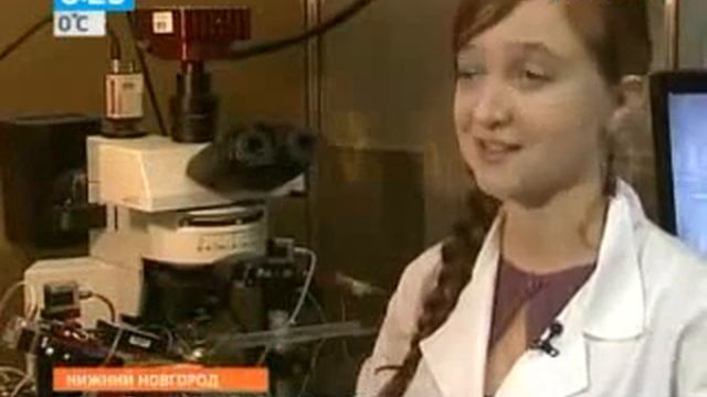 Подобие нервной системы у растений