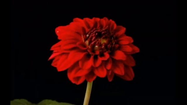 Христианские стихи. Не много есть таких людей! смотреть онлайн