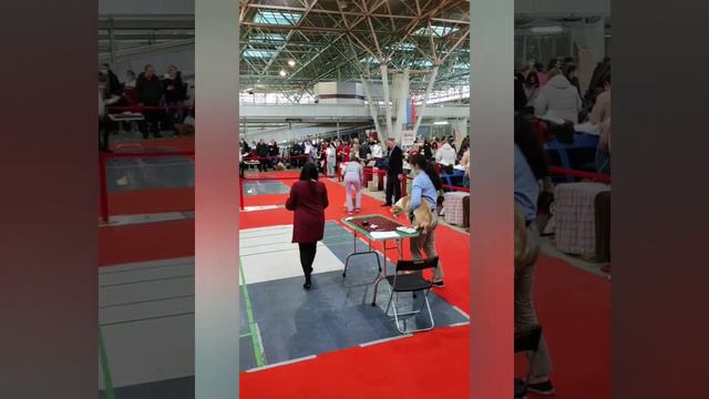 Полли дебют смотреть онлайн