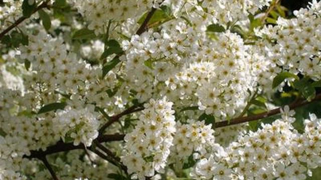 Погода в доме смотреть онлайн