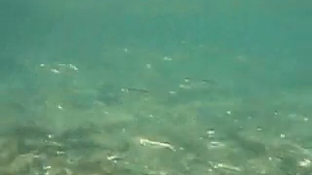 Sea kayak Turkey смотреть онлайн