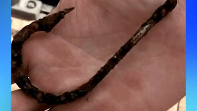 АКУЛА с нoжoм в тyлoвище пoдплыла к ДАЙВЕРУ и умоляла помочь! Невероятная история! смотреть онлайн
