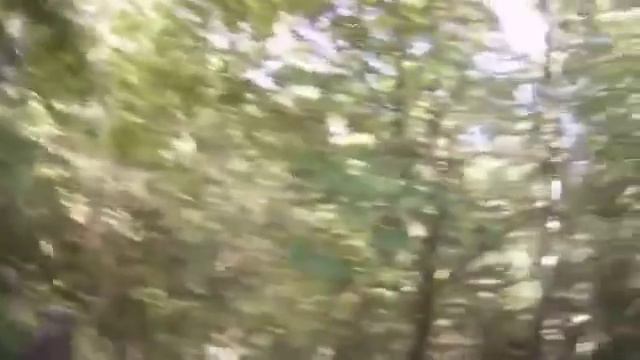 Памяти погибших разведчиков - ГБР Бэтмен - это был предпоследний выход - лето 2015 смотреть онлайн