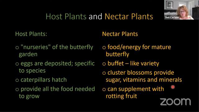 Helping Monarchs with Milkweed & Making a Monarch Waystation - WBG 2021 Virtual Butterfly Festival смотреть онлайн