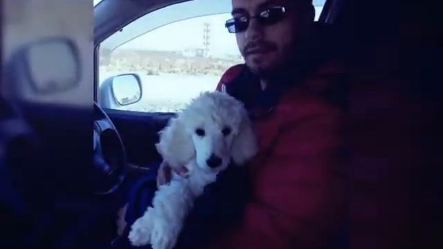 Папуле к 23 февраля:-* Люблю тебя ♡ Твоя дочка:-* смотреть онлайн