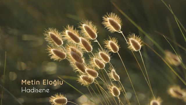 Hadisene - Metin Eloğlu смотреть онлайн