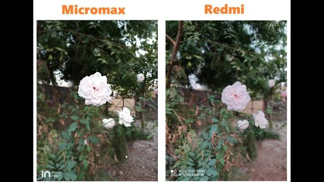Micromax in Note 1 Vs Redmi Note 9 Pro Camera Test & Comparison | Detailed Camera review смотреть онлайн