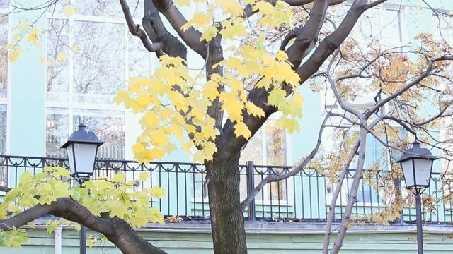 Осенняя фотосессия. Модель: Кристина смотреть онлайн
