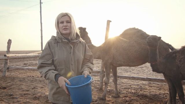 ВИДЕОРЕЦЕПТ! Как готовить кымыран (шубат / молодое верблюжье молоко) и баурсаки на Наурыз? смотреть онлайн