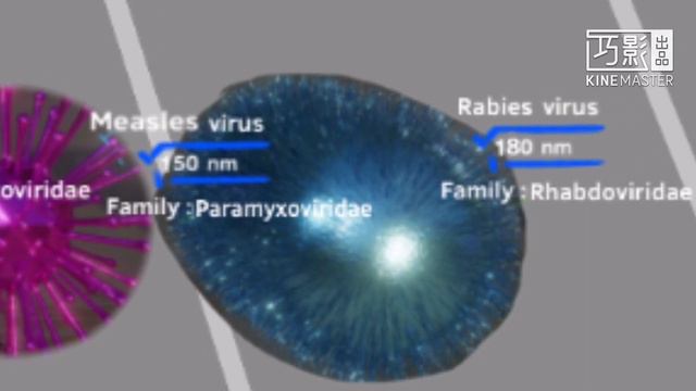 ULTIMATE SIZE COMPARISON (PART 1 - PART 5) смотреть онлайн