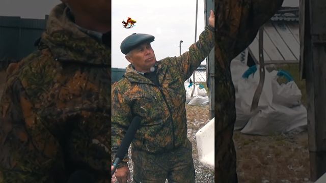 Рыбалка Как происходит зарыбление озера Касарги живым карпом Рыболовство #shorts смотреть онлайн