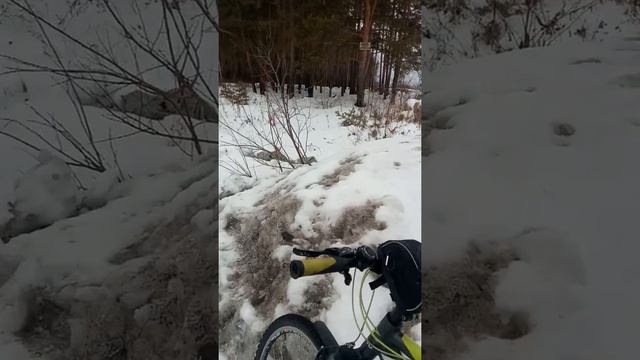 Незаконная свалка снега ,грязи и опиленных деревьев рядом с микрорайоном*Солнечный*. смотреть онлайн