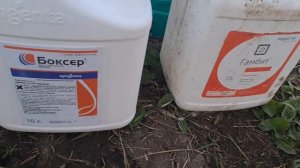 КАРТОШКА БЕЗ СОРНЯКОВ! Первая важнейшая обработка гербицидом!