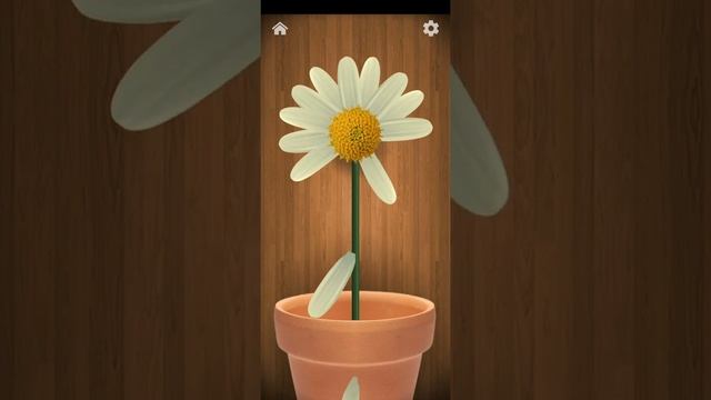 ANTISTRESS GAME, CHAMOMILE, LOVES DOES NOT LOVE смотреть онлайн