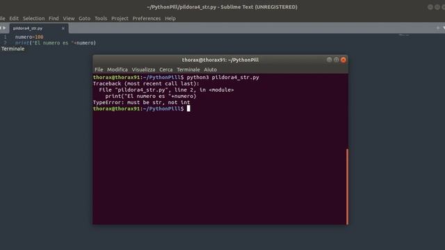 Pildora#4 - La función str en Python смотреть онлайн