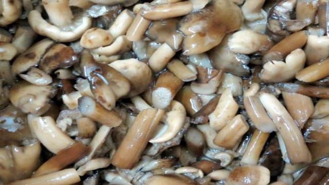 Рецепты от шеф-повара