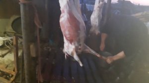 забой барана жирный классный