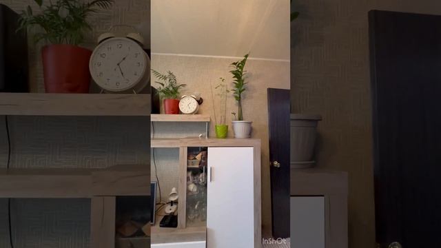 Продажа. 1-комнатная квартира. Москва, Жулебино, М.Полубоярова, д.14. смотреть онлайн