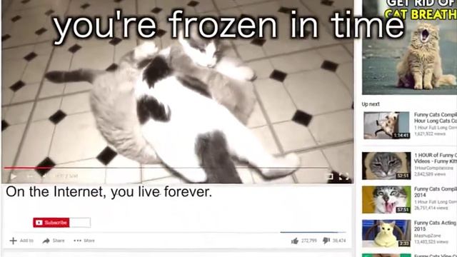 Gibson 5th death anyversitty Rip Steve cash aka talking kitty cat,Gibson and sylvester смотреть онлайн