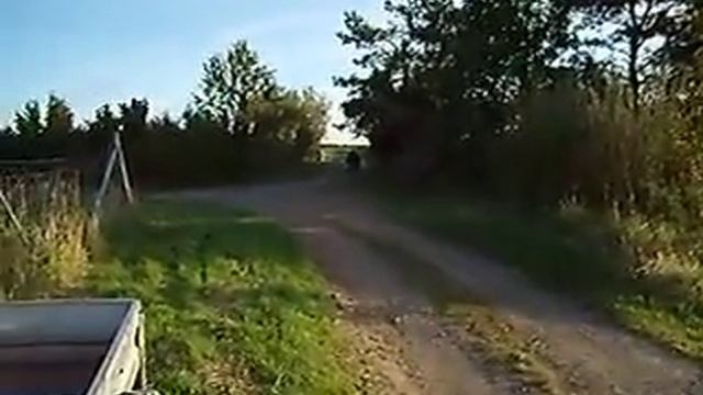 Бешеный заяц на минимокике смотреть онлайн