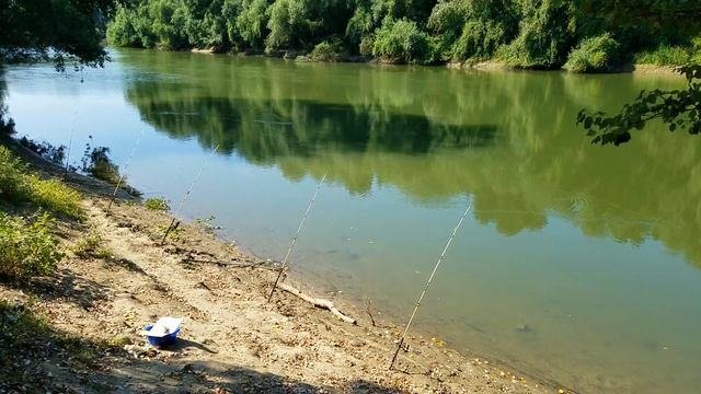 р. Днестр. Первый раз ловлю на пьяную кукурузу смотреть онлайн