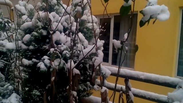 СОЧИ В СНЕГУ 29 января 2017г смотреть онлайн