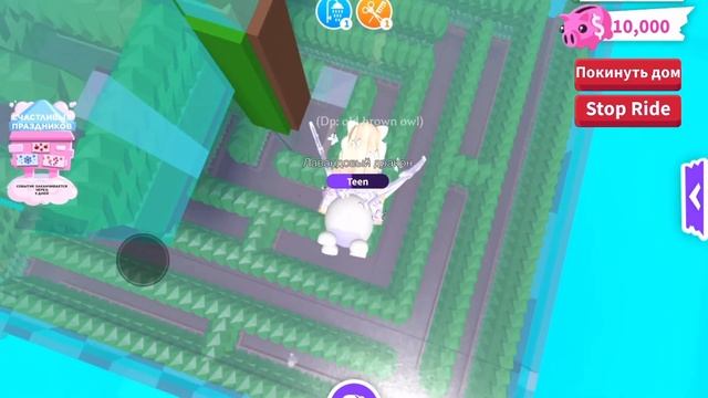 Лабиринт в Адопт ми. Так и не выбрались из лабиринта?