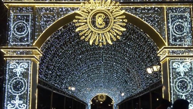 Зимой в Царицыно Стихи музыка, исполнение Александр ГамИ Аранжировка Олег Князев Монтаж Л.Чернышов смотреть онлайн