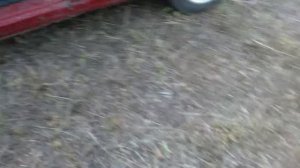 Противотуманки на Golf 3