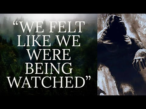 TWO GIRLS HARASSED BY BIGFOOT ON A HIKING TRAIL смотреть онлайн