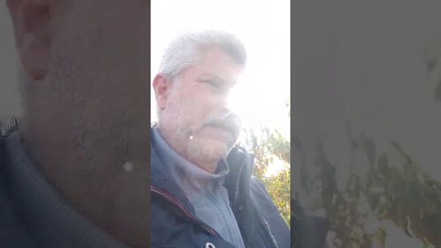 Конец октября, организуем искусственный листопад смотреть онлайн