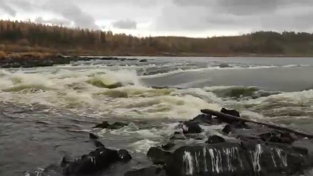 Эвенкия .Опасно не повторять !Проплыли по опасному порогу на лодке "КРЫМ"!!! смотреть онлайн
