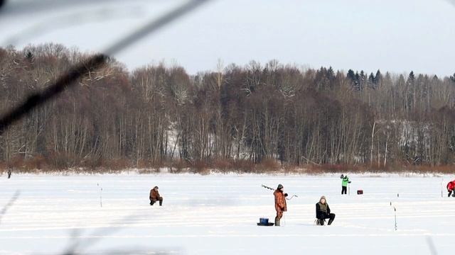 Лужский рубеж 2021 Турнир по зимней блесне . Меревское оз.mp4