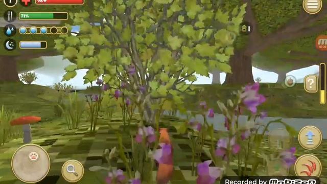 Играем в Squirrel Simulator 2///Alice Games смотреть онлайн