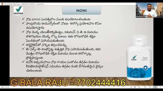 Vestige Noni Health Benefits in Telugu | Noni Capsules uses & Dosage | Rising stars of vestige смотреть онлайн