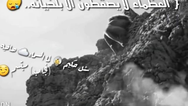 Берегите друг друга, народу много - людей мало?⚜? смотреть онлайн