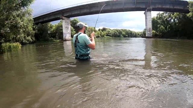 В поисках голавля по рекам Липецкой области. Дон, Красивая Меча, Воронеж, Быстрая Сосна. смотреть онлайн
