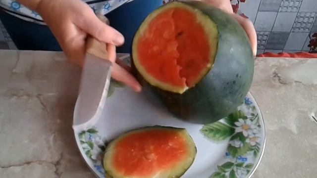 Арбузы от семечки до ягоды на столе(мой опыт) смотреть онлайн