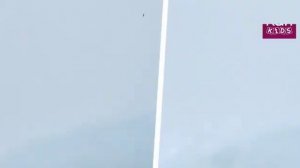 Игрушки для веселого купания от kari KIDS