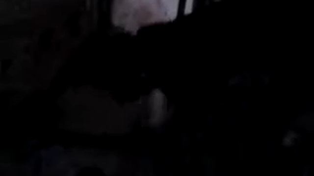 Дратхаар против жабы смотреть онлайн