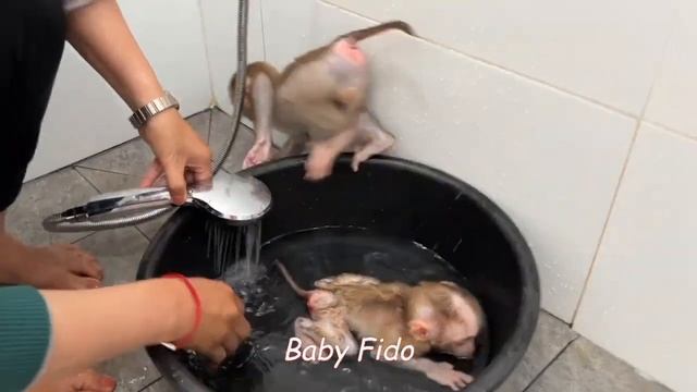 Morning Routine!! Mom Clean Diaper Take Bath All Baby Before Treating смотреть онлайн