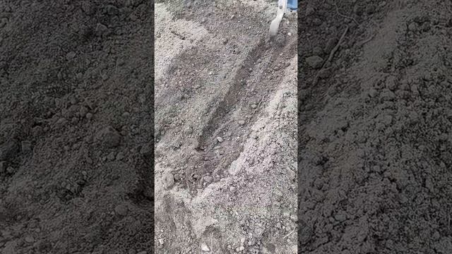 Супер сеялка для моркови своими руками! смотреть онлайн