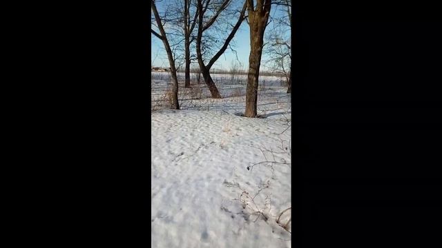 Весна идёт, весне дорогу. Загадай желание. смотреть онлайн